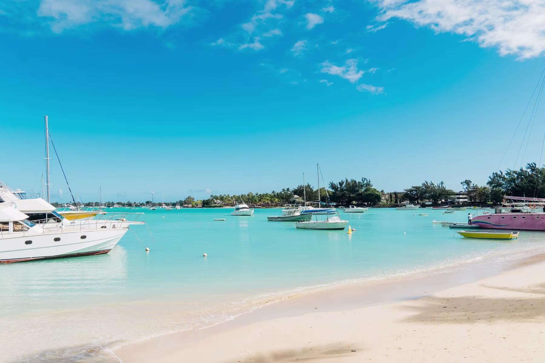 Riviere du Rempart Domidylle international 07