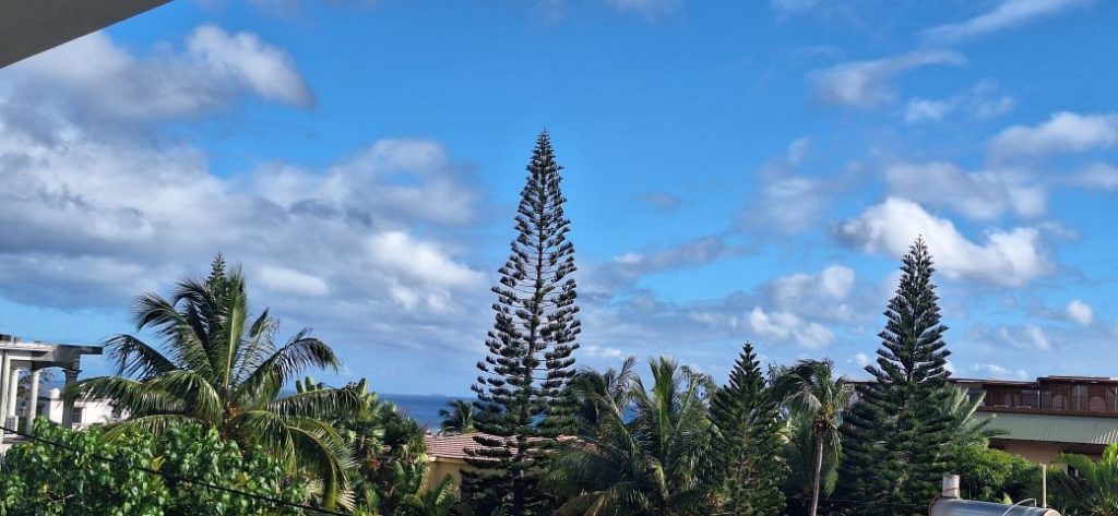 Appart 195m2 de 3 chb à Tamarin