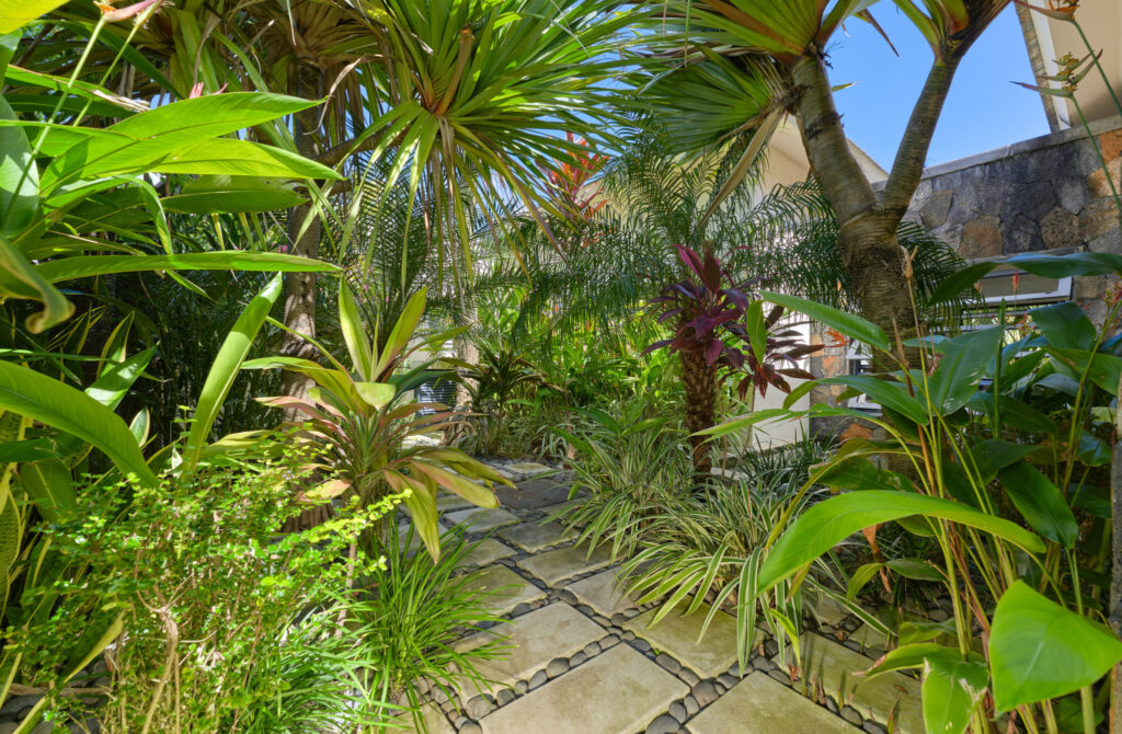 Spacieuse Villa 4 Chb de 369 m2 à Pereybère